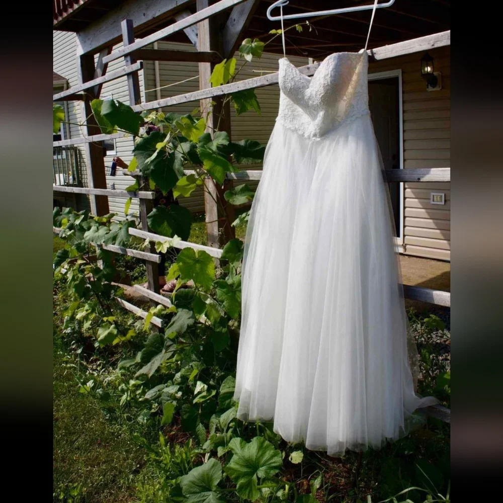 Wedding Gown - Picture 1 of 4